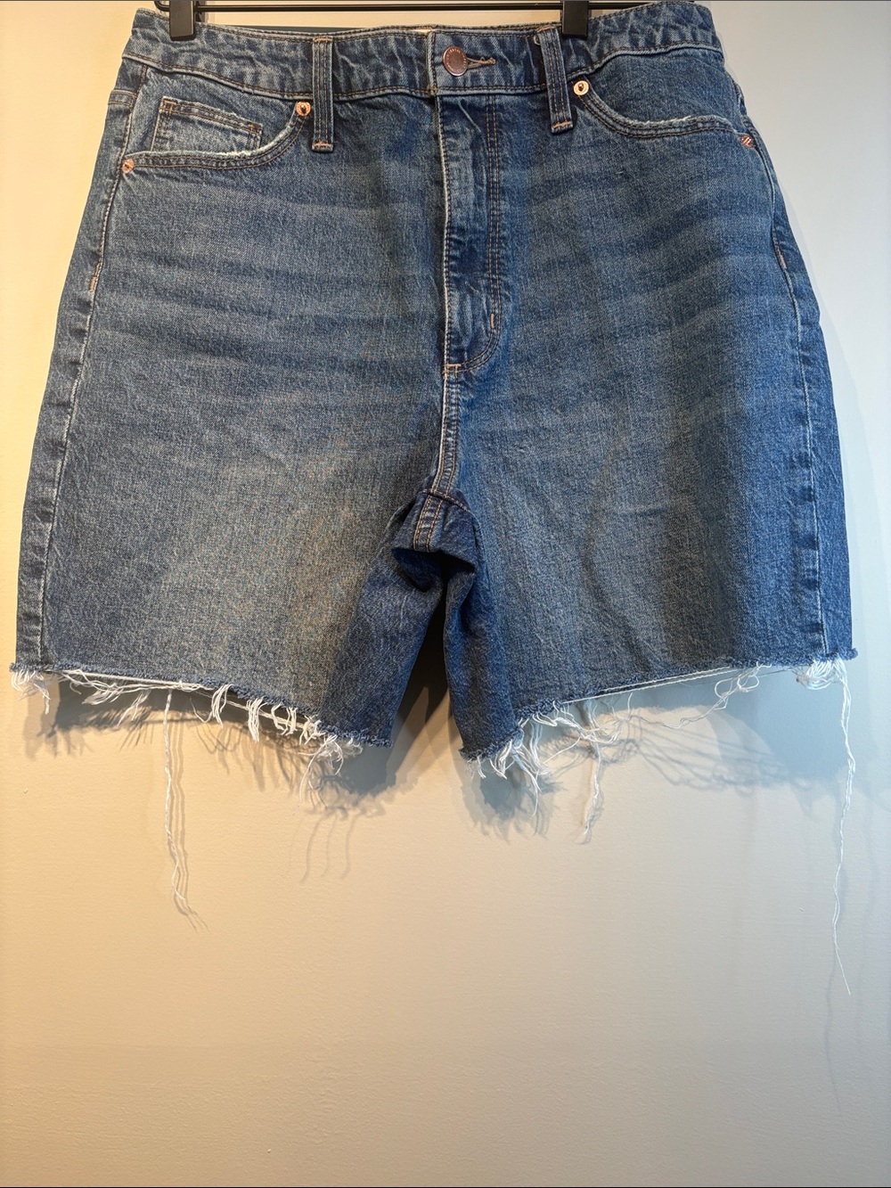 Universal Thread Blue Jean Shorts